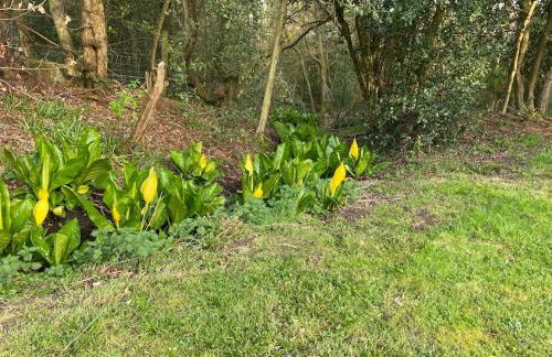 Cosy, private, cabin suit couples looking for a retreat and business traveller, near Frieth - Foto 41