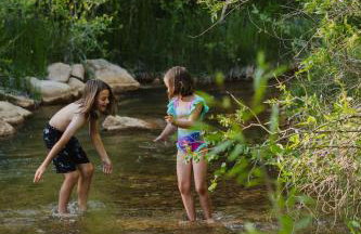 The Blue Jay at Zen Zion - Photo 52