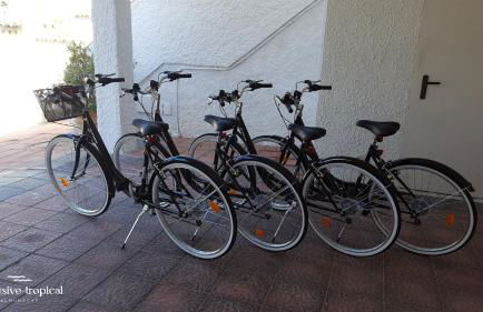 Los Cipreses - Casa Ola - Foto 2