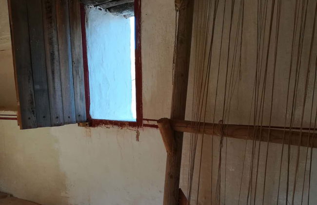 Visita guiada pela Moleta del Remei - Foto 2