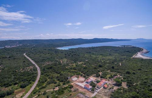 Sakarun - Ena - Photo 14