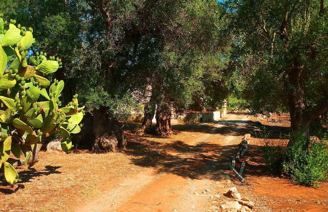 Tenuta la Siesta - Photo 74