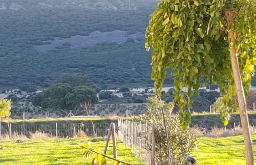 Finca La Rinconada - Foto 6