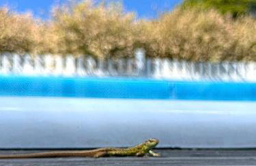 Domek wakacyjny z podgrzewanym basenem i jacuzzi pod gwiazdami, Studnica, Ińsko, "THerapeutica" - Foto 48