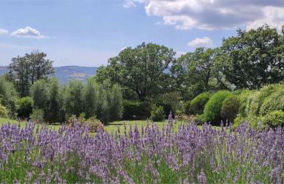 Podere Sant'Angelo - Foto 17