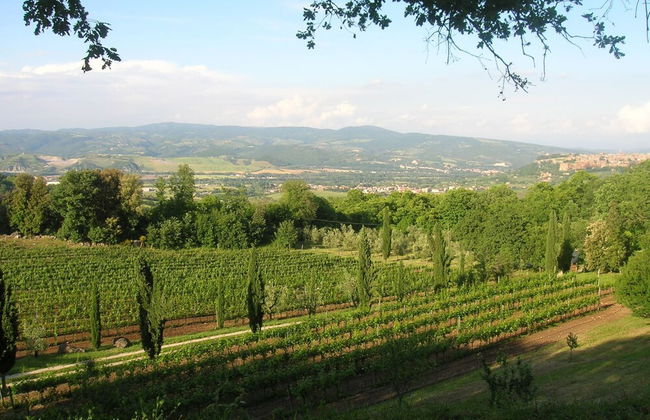 Belvilla by OYO Adelio - Photo 37