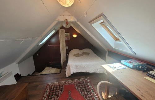 Maison d'hôte très calme plein centre ville jardin - Foto 13