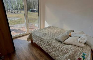 Cisza lasu - Foto 14