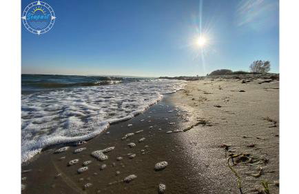 Seapart Nowe Pogórze - Foto 32