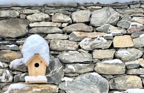 La Maison - Il Riparo del Cervo - Photo 80