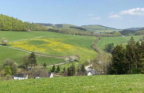 Ferienwohnungen Schimsheimer Rhode - Photo 8