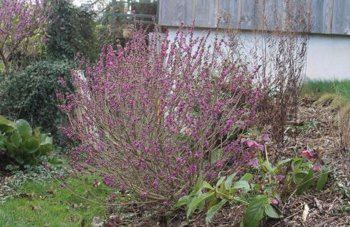 Ferienwohnung "Eifelstueffje" - Foto 66