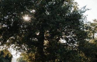 Casa Quieto - Foto 35