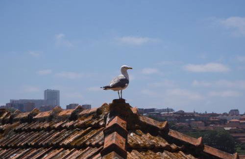 Casa Farrapos - Photo 30