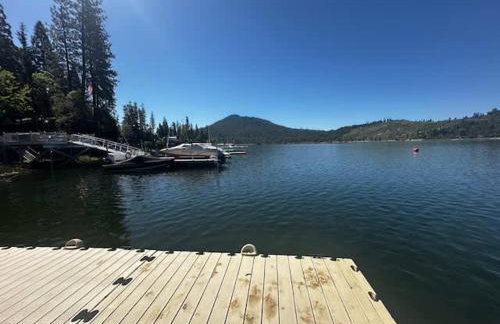 Lewis Cabin - Boat Dock - Lake Front - Sleeps 12 - Photo 17