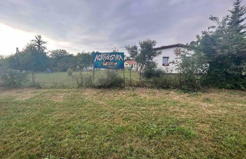 Agroturystyka Willy - Foto 26