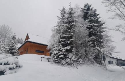 Domki Krynica - Foto 8