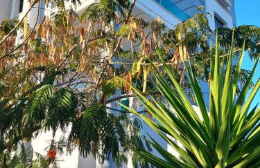 Maria Luxury Villa - Foto 66