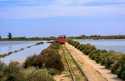 Villa Pedras D'el Rei - Foto 20