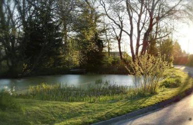 Brays Cottage, Inkpen - Perfect Country Time - Foto 66