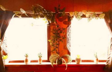 Magnifique péniche remorqueur à louer - Foto 29