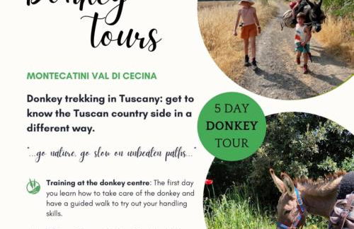 La Casa di Orazio - Foto 8