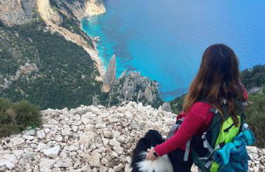 Guest House Oleandro - Foto 43