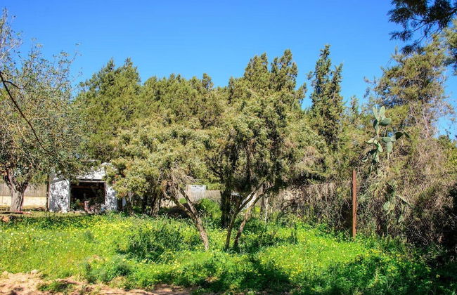 Attractive Villa With Private Pool - Foto 37