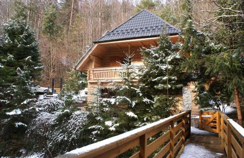 Forest House- dom nad górskim potokiem - Foto 24