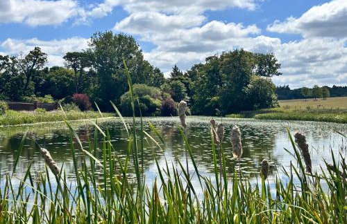 Stunning 2 Lodge Cottage retreat - Foto 39