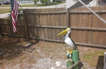 Turtles Nest of Port Orange - Photo 23