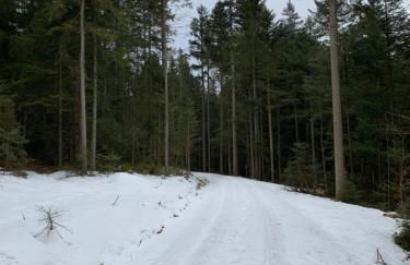 Ferienwohnung - Foto 7