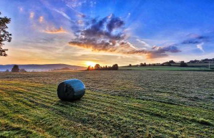 Habelberg Apartments - Foto 17