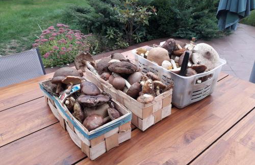 Domki nad jeziorem w Borach Tucholskich - Foto 23