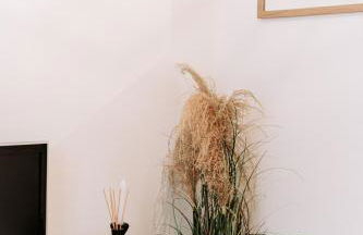 Yellow Studio - Arrivée Autonome - Foto 8