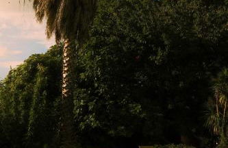 Domaine Sesquier - Foto 58