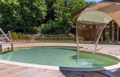 Terme Di Sorano Resort - Foto 61