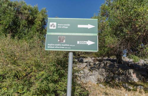 Apartment Luna - Photo 10