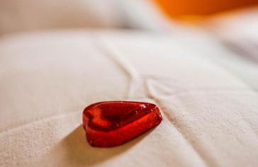 Naturesbase Lodge - Photo 10