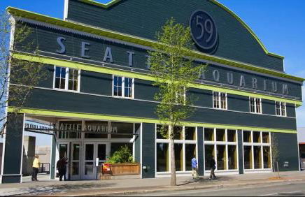 Moder charmer 4 BR 3 BA 12 Miles to Seattle, 3 miles to Airport near the mall - Foto 59