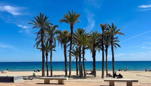 Paraíso Joyosa - Foto 5