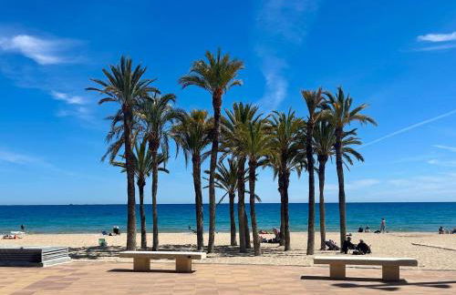 Paraíso Joyosa - Foto 5