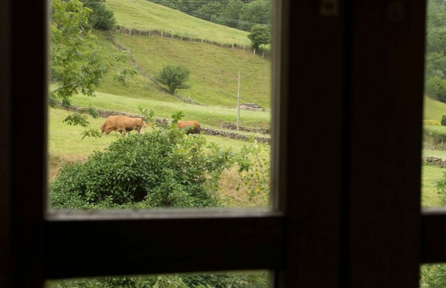 Molino de Yera - Foto 37