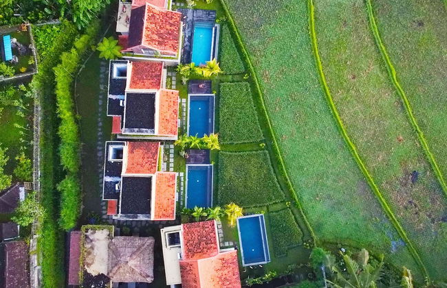 Dukuh Ubud Villas - Foto 34