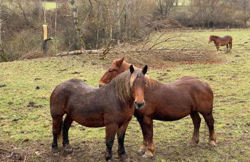 Casa Solle - Bonita casa de montaña a 20 min de San Isidro - Foto 47