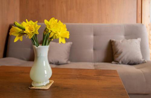 Apartament ALINA - Foto 63