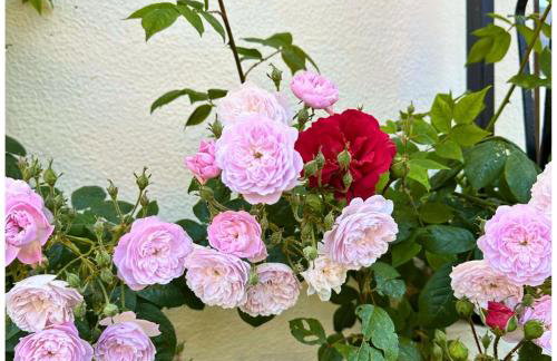 Memories Apartments Μονοκατοικία στο Καρπενήσι - Foto 41