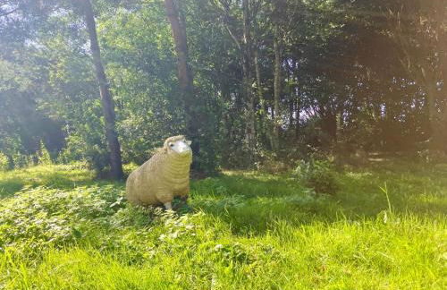 La maison normande 5 chambres - Foto 72