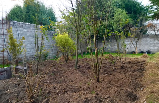 Nispero Country House - Foto 22