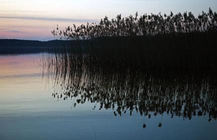 Zielony domek Drzewoszewo - Foto 23